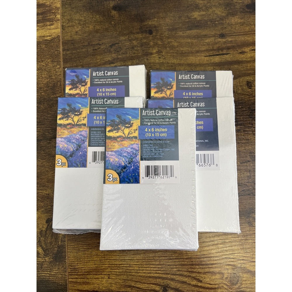 5 Total!! ARTSY & CRAFTS Pack Of 3 PC Artist Canvas 4"x6" Painting new